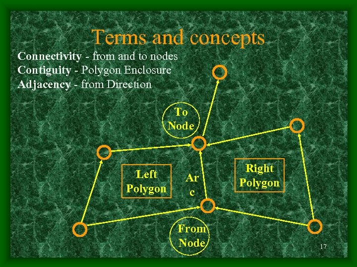 Terms and concepts Connectivity - from and to nodes Contiguity - Polygon Enclosure Adjacency