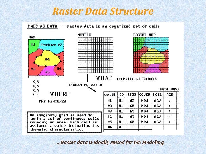 Raster Data Structure …Raster data is ideally suited for GIS Modeling 7 