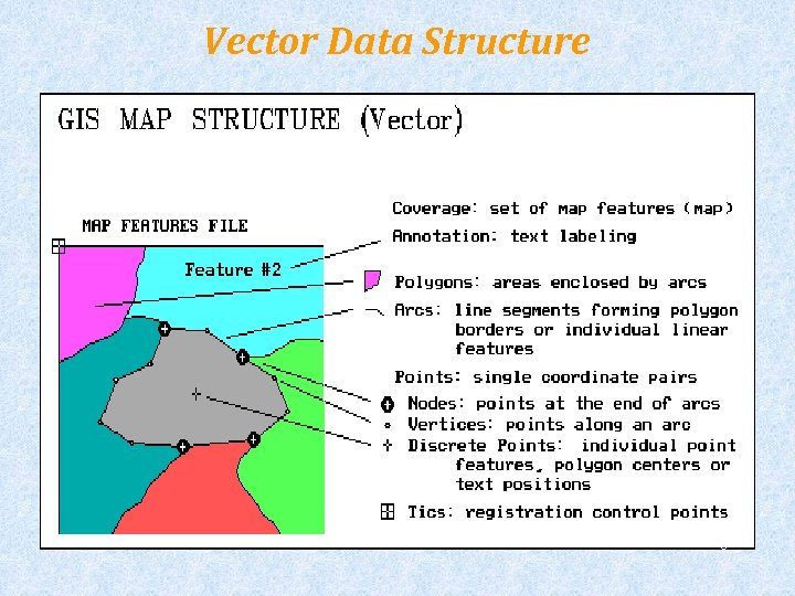 Vector Data Structure 8 