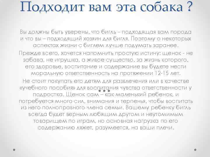 Подходит вам эта собака ? Вы должны быть уверены, что бигль – подходящая вам