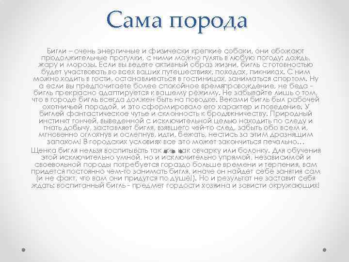 Сама порода Бигли – очень энергичные и физически крепкие собаки, они обожают продолжительные прогулки,
