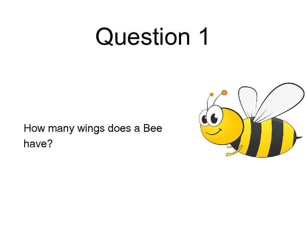 Question 1 How many wings does a Bee have? 