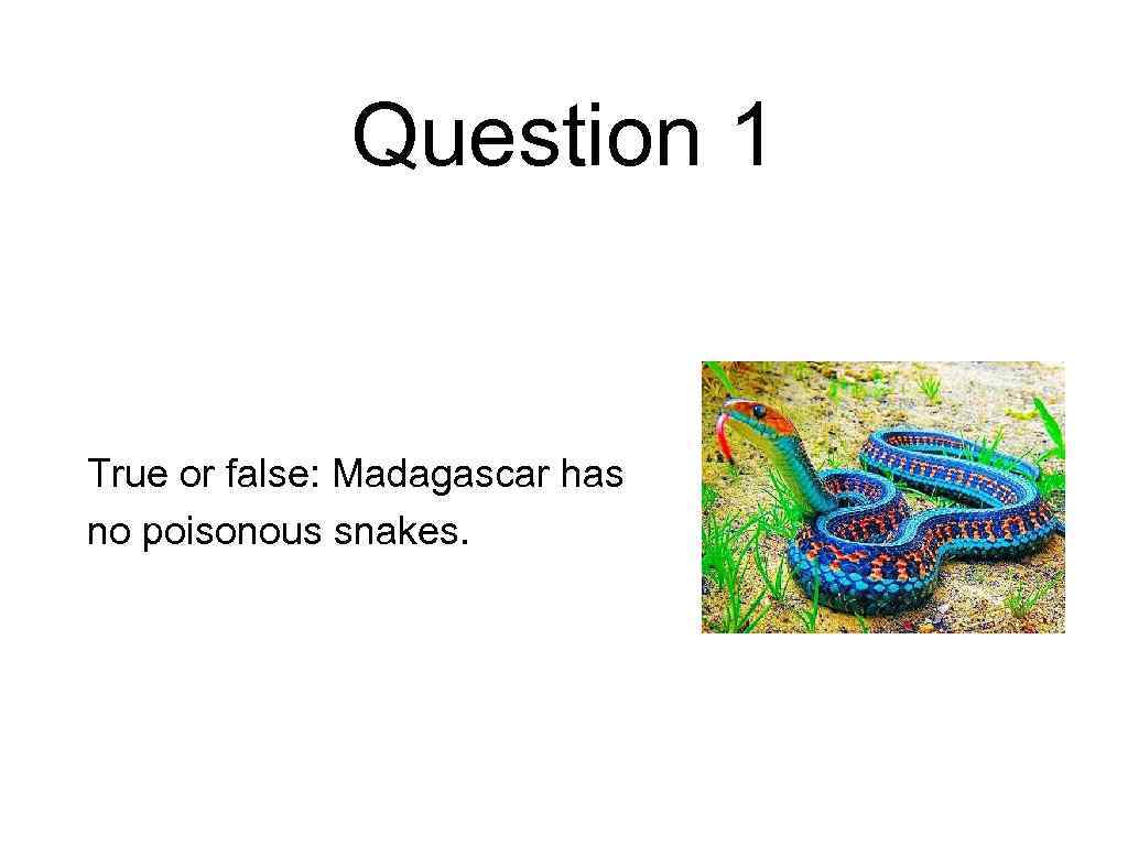 Question 1 True or false: Madagascar has no poisonous snakes. 