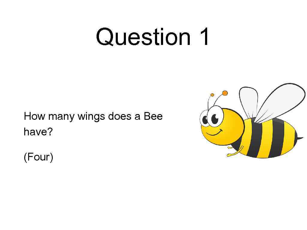 Question 1 How many wings does a Bee have? (Four) 