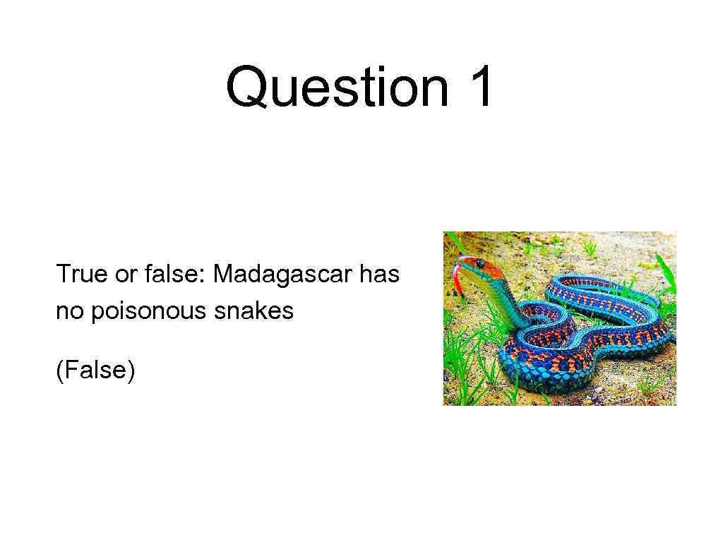 Question 1 True or false: Madagascar has no poisonous snakes (False) 