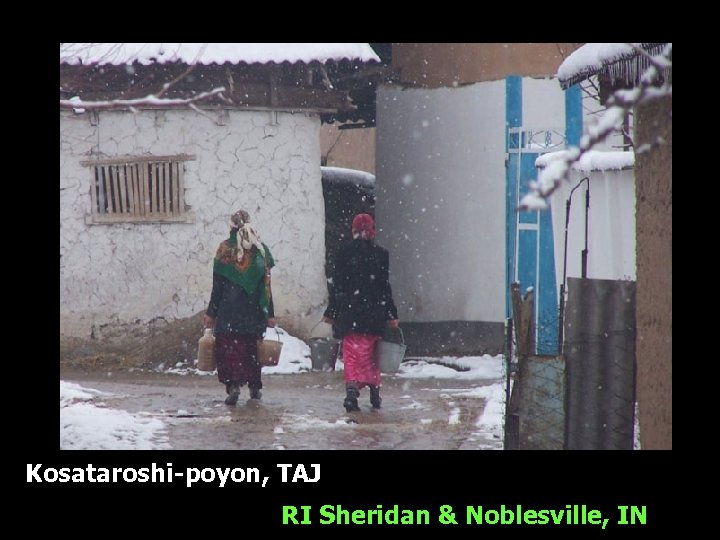 Kosataroshi-poyon, TAJ RI Sheridan & Noblesville, IN 