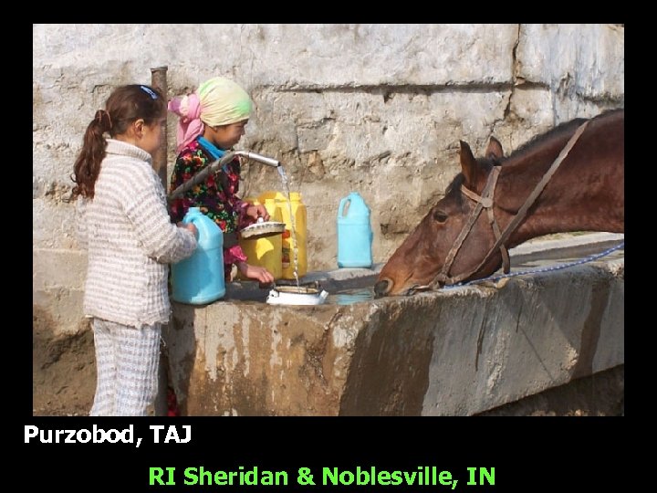 Purzobod, TAJ RI Sheridan & Noblesville, IN 