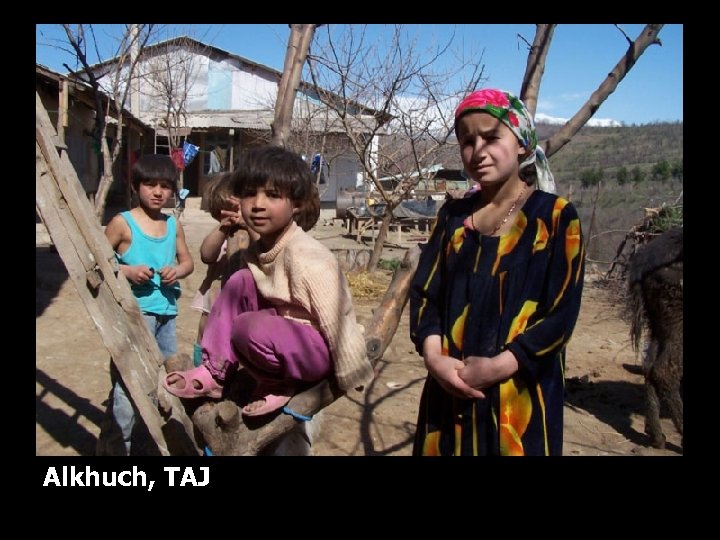 Alkhuch, TAJ 