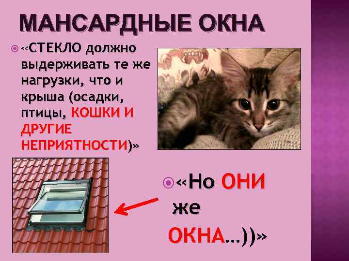 МАНСАРДНЫЕ ОКНА «СТЕКЛО должно выдерживать те же нагрузки, что и крыша (осадки, птицы, КОШКИ