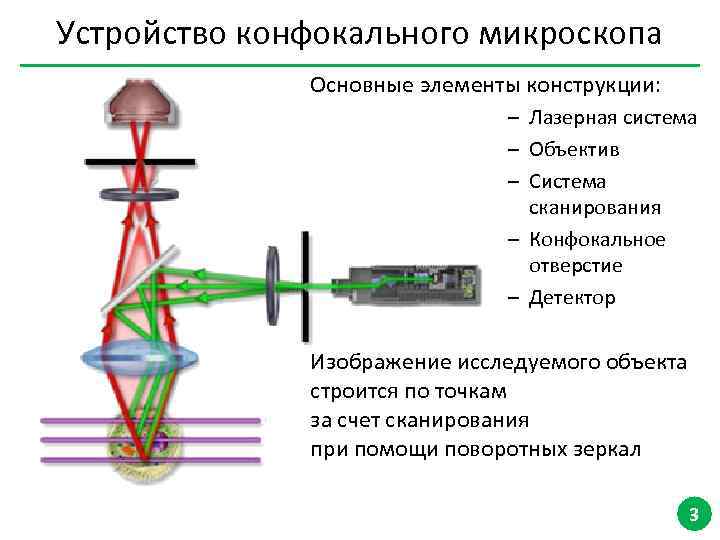 Конфокальная микроскопия. Конфокальная лазерная сканирующая микроскопия. Оптическая схема конфокального микроскопа. Устройство конфокальный лазерный сканирующий микроскоп. Метод конфокальной лазерной сканирующей микроскопии.