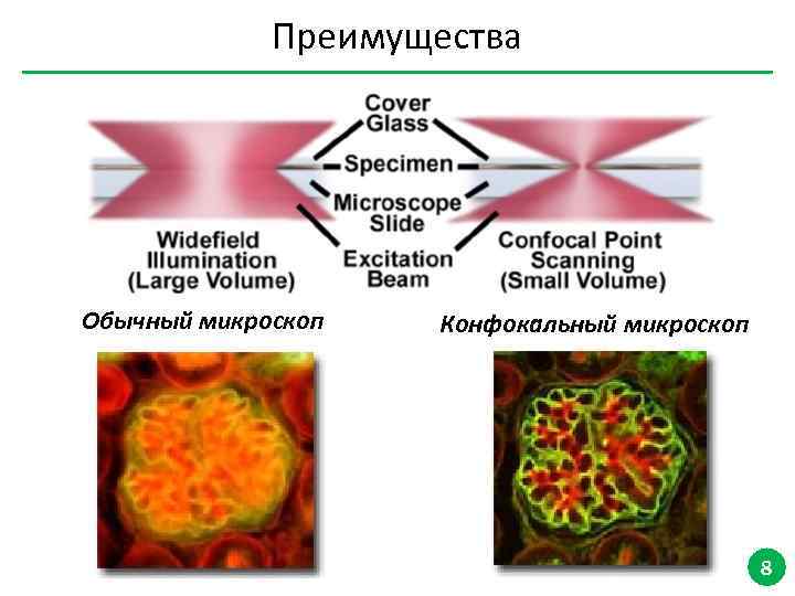 Преимущества Обычный микроскоп Конфокальный микроскоп 8 