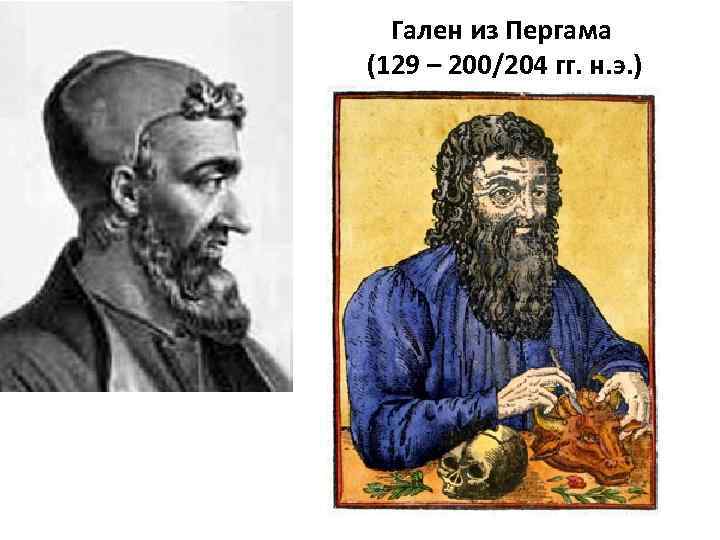 Гален из Пергама (129 – 200/204 гг. н. э. ) 