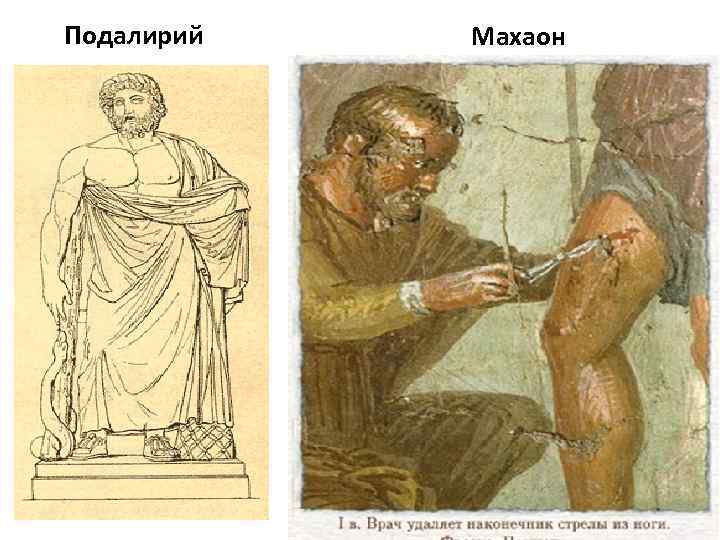 Подалирий Махаон 