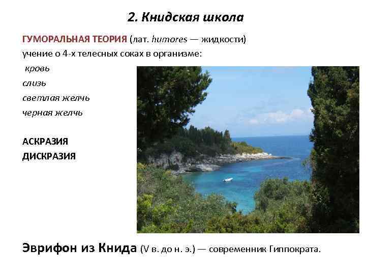 2. Книдская школа ГУМОРАЛЬНАЯ ТЕОРИЯ (лат. humores — жидкости) учение о 4 -х телесных