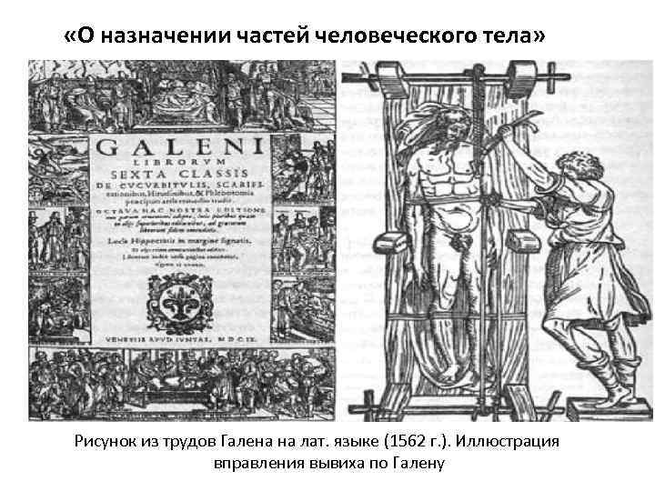  «О назначении частей человеческого тела» Рисунок из трудов Галена на лат. языке (1562