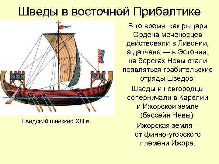 Шведы в восточной Прибалтике Шведский шнеккер XIII в. В то время, как рыцари Ордена