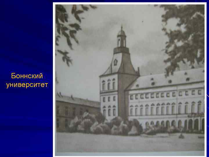 Боннский университет 