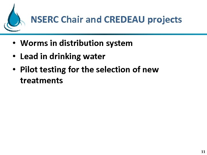 NSERC Chair and CREDEAU projects • Worms in distribution system • Lead in drinking