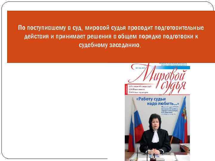 По поступившему в суд, мировой судья проводит подготовительные действия и принимает решения в общем
