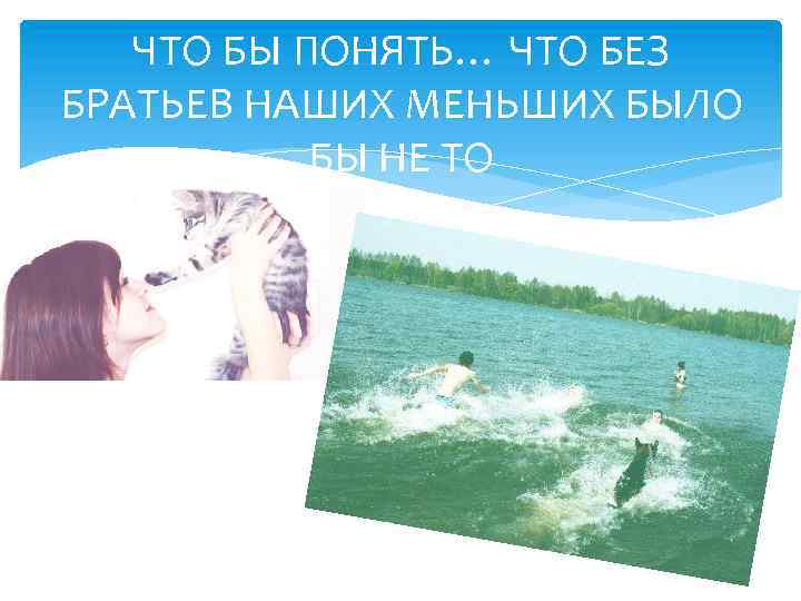 ЧТО БЫ ПОНЯТЬ… ЧТО БЕЗ БРАТЬЕВ НАШИХ МЕНЬШИХ БЫЛО БЫ НЕ ТО 
