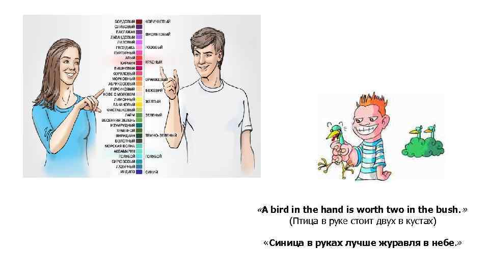  «А bird in the hand is worth two in the bush. » (Птица