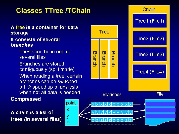 Chain Classes TTree /TChain Tree 1 (File 1) Tree 2 (File 2) Branch point