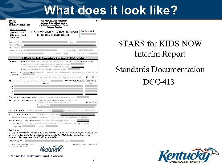 What does it look like? STARS for KIDS NOW Interim Report Standards Documentation DCC-413