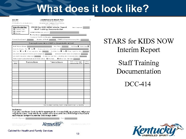 What does it look like? STARS for KIDS NOW Interim Report Staff Training Documentation