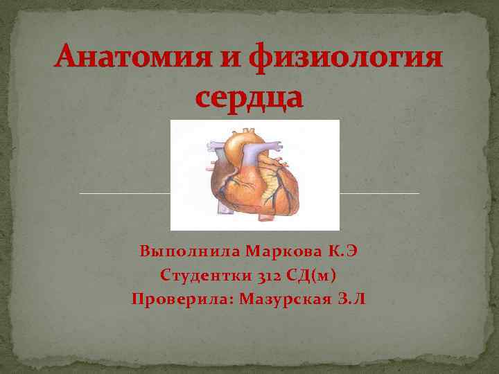 Анатомия и физиология сердца Выполнила Маркова К. Э Студентки 312 СД(м) Проверила: Мазурская З.