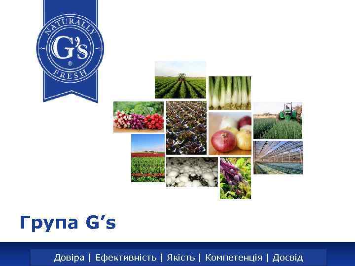 Група G’s Trust | Efficiency | Quality Довіра | Ефективність | Якість|| Expertise |