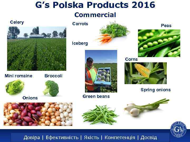 G’s Polska Products 2016 Commercial Celery Carrots Peas Iceberg Corns Mini romaine Broccoli Spring