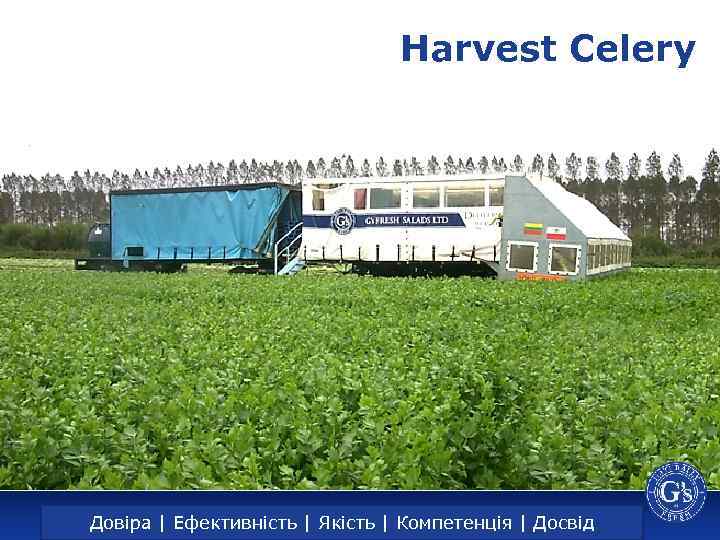 Harvest Celery Trust | Efficiency | Довіра | Ефективність | Якість |Quality | Expertise