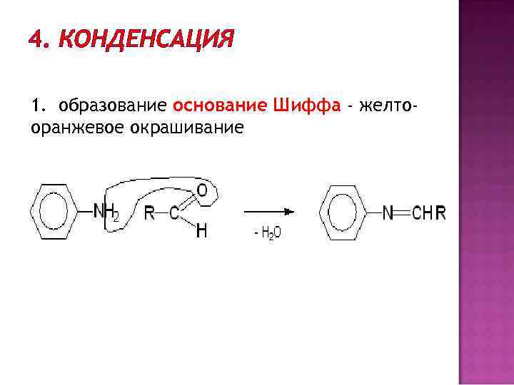 Образование оснований