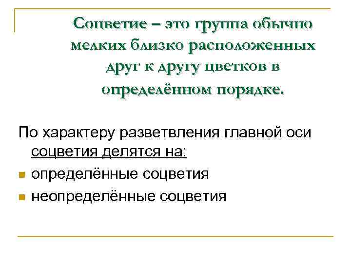 Соцветие – это группа обычно мелких близко расположенных друг к другу цветков в определённом