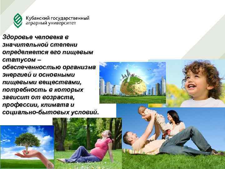 Здоровье человека в значительной степени определяется его пищевым статусом – обеспеченностью организма энергией и