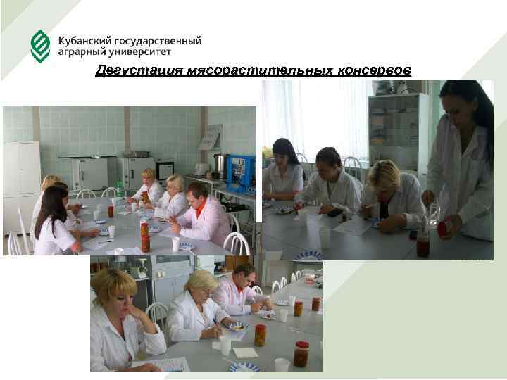 Дегустация мясорастительных консервов 