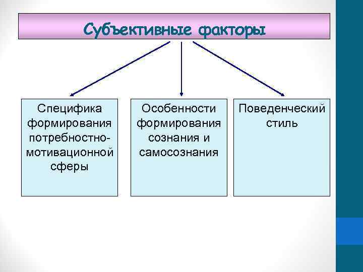 Субъективные факторы Специфика формирования потребностномотивационной сферы Особенности формирования сознания и самосознания Поведенческий стиль 