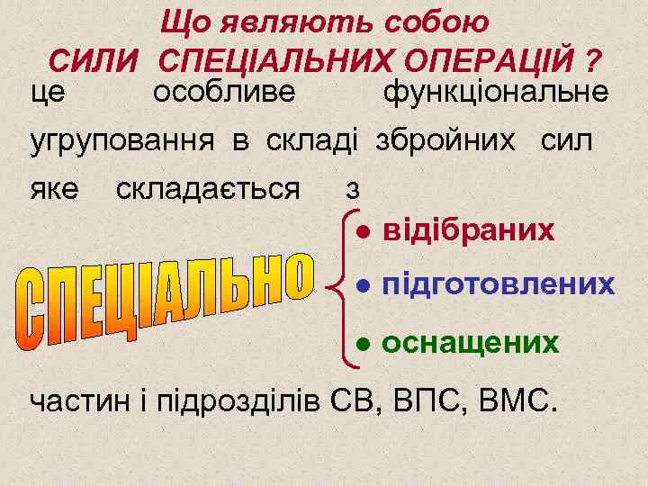 Що являють собою СИЛИ СПЕЦІАЛЬНИХ ОПЕРАЦІЙ ? це особливе функціональне угруповання в складі збройних