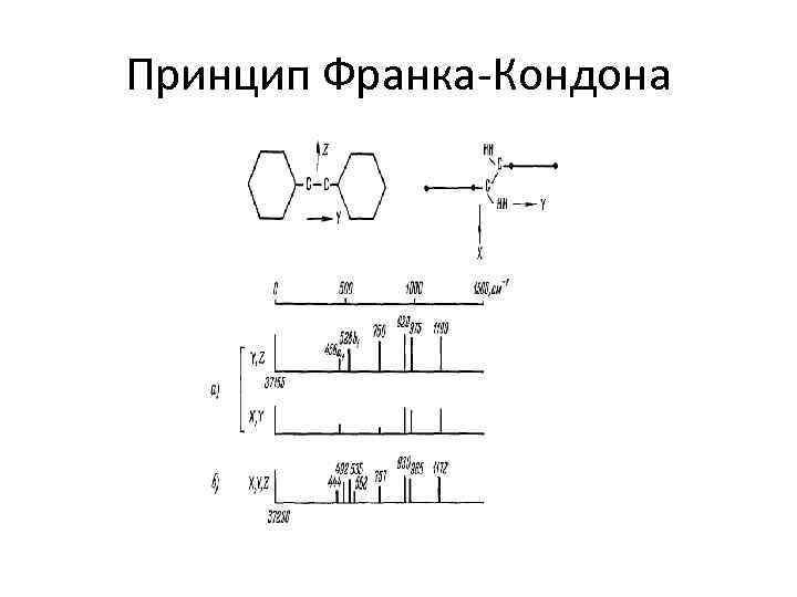 Принцип Франка-Кондона 