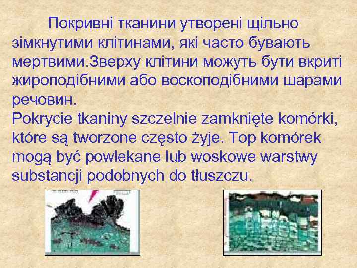 Покривні тканини утворені щільно зімкнутими клітинами, які часто бувають мертвими. Зверху клітини можуть бути