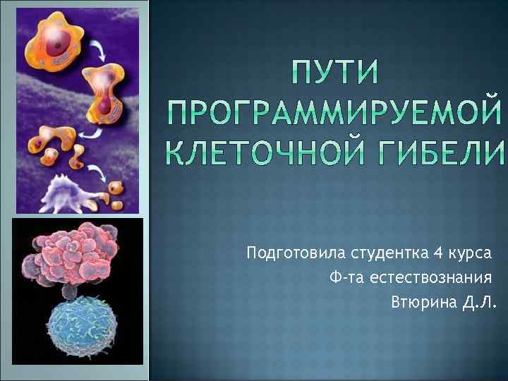 Подготовила студентка 4 курса Ф-та естествознания Втюрина Д. Л. 
