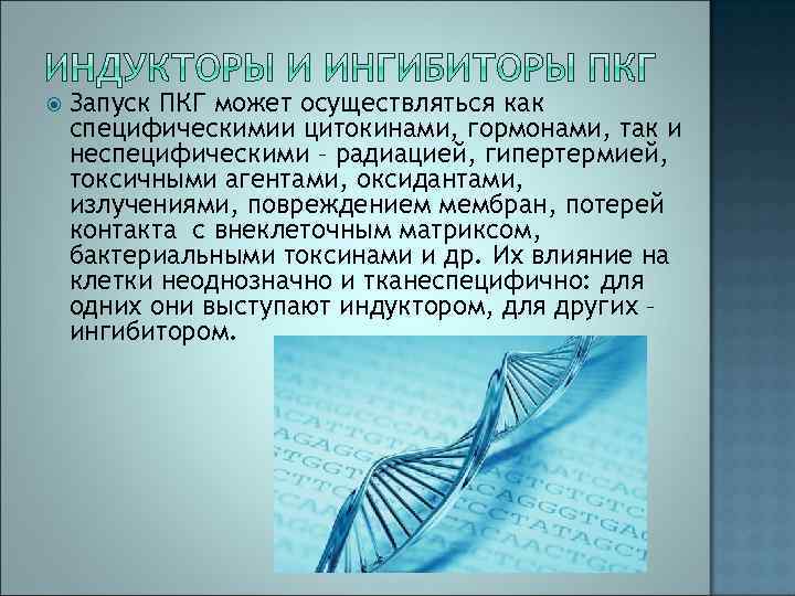  Запуск ПКГ может осуществляться как специфическимии цитокинами, гормонами, так и неспецифическими – радиацией,