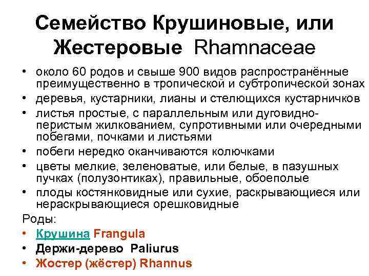 Семейство Крушиновые, или Жестеровые Rhamnaceae • около 60 родов и свыше 900 видов распространённые