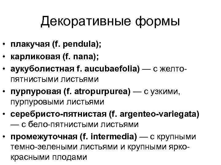 Декоративные формы • плакучая (f. pendula); • карликовая (f. nana); • аукуболистная f. aucubaefolia)