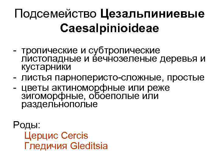 Подсемейство Цезальпиниевые Caesalpinioideae - тропические и субтропические листопадные и вечнозеленые деревья и кустарники -