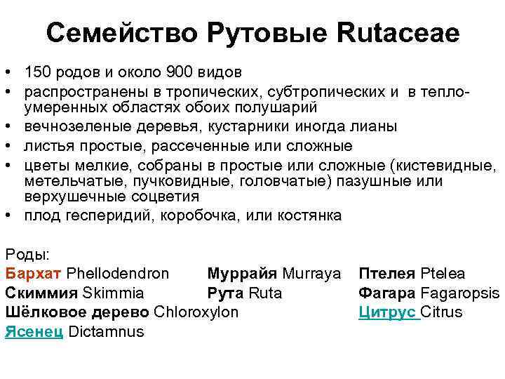 Семейство Рутовые Rutaceae • 150 родов и около 900 видов • распространены в тропических,