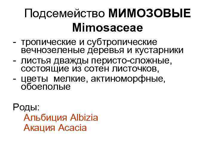 Подсемейство МИМОЗОВЫЕ Mimosaceae - тропические и субтропические вечнозеленые деревья и кустарники - листья дважды