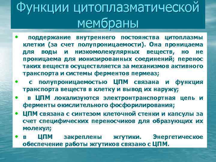 Функции цитоплазматической мембраны • • • поддержание внутреннего постоянства цитоплазмы клетки (за счет полупроницаемости).