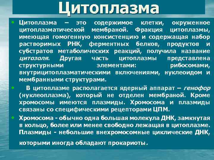 Цитоплазма • Цитоплазма • • – это содержимое клетки, окруженное цитоплазматической мембраной. Фракция цитоплазмы,