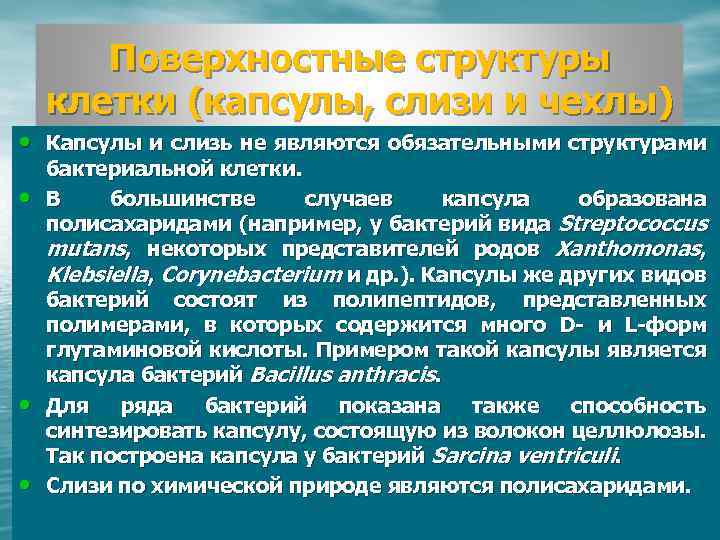 Поверхностные структуры клетки (капсулы, слизи и чехлы) • Капсулы и слизь не являются обязательными